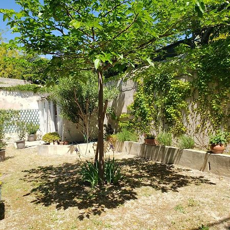 Appartement Au Coeur De Cassis Avec Jardin Εξωτερικό φωτογραφία