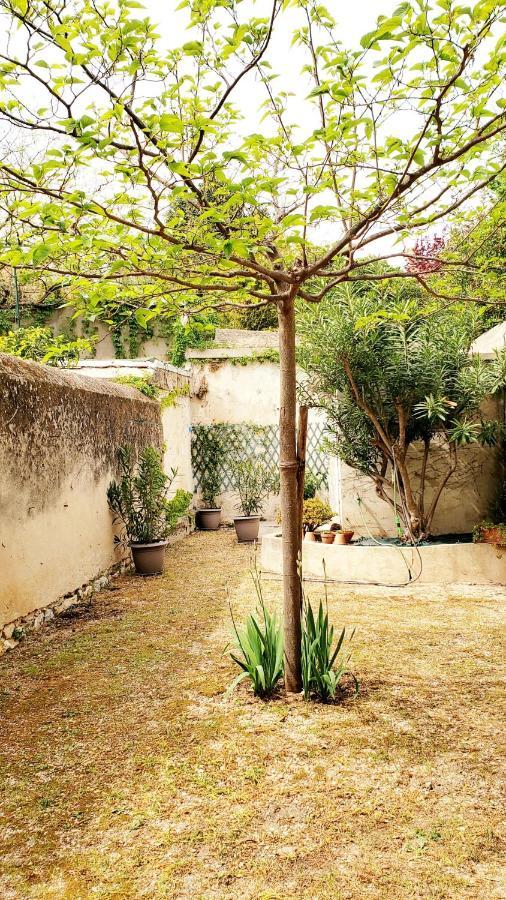 Appartement Au Coeur De Cassis Avec Jardin Εξωτερικό φωτογραφία
