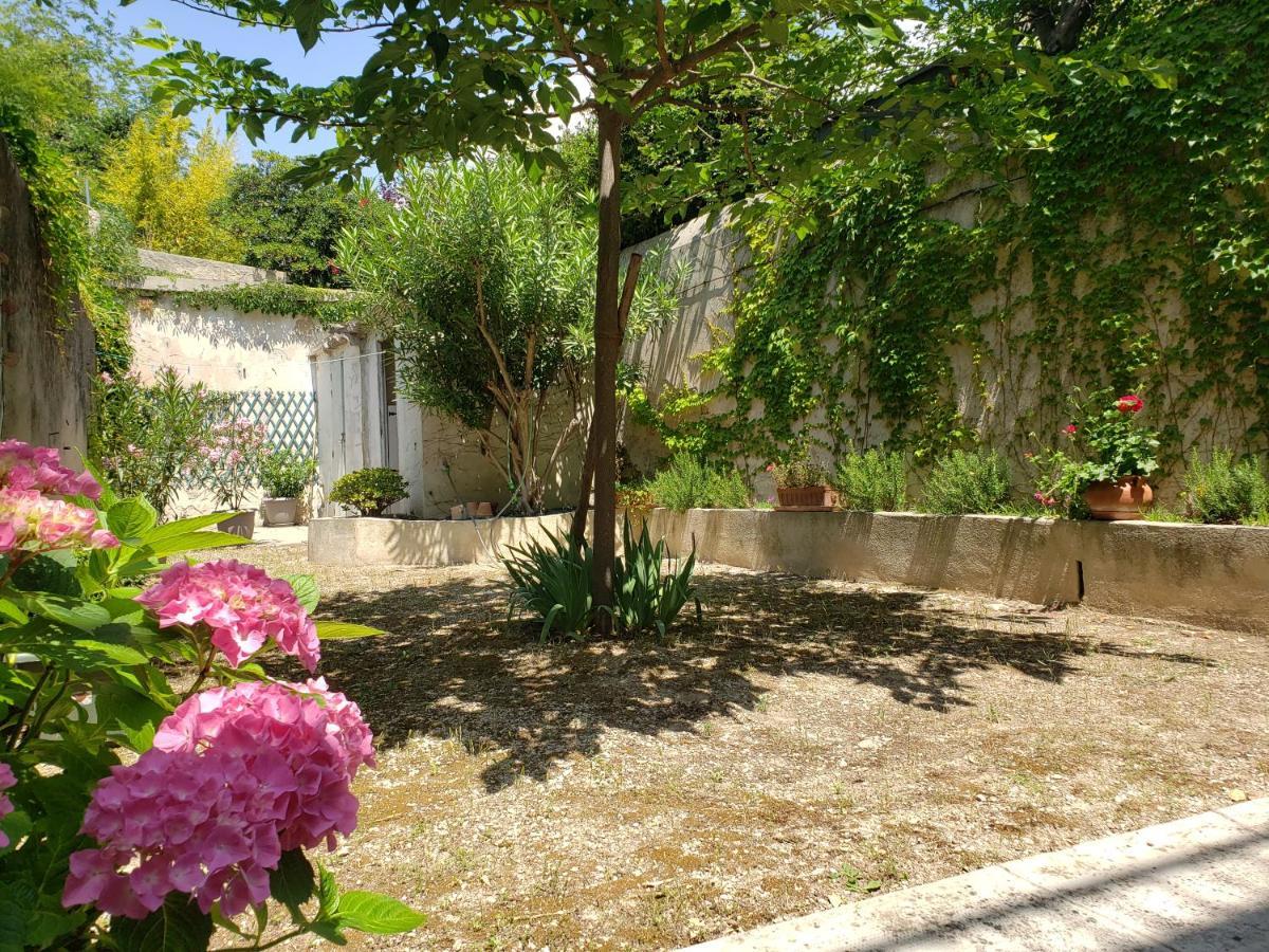Appartement Au Coeur De Cassis Avec Jardin Εξωτερικό φωτογραφία